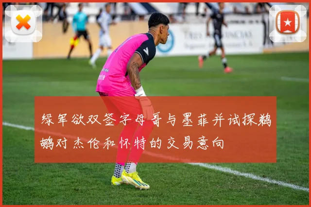 绿军欲双签字母哥与墨菲并试探鹈鹕对杰伦和怀特的交易意向