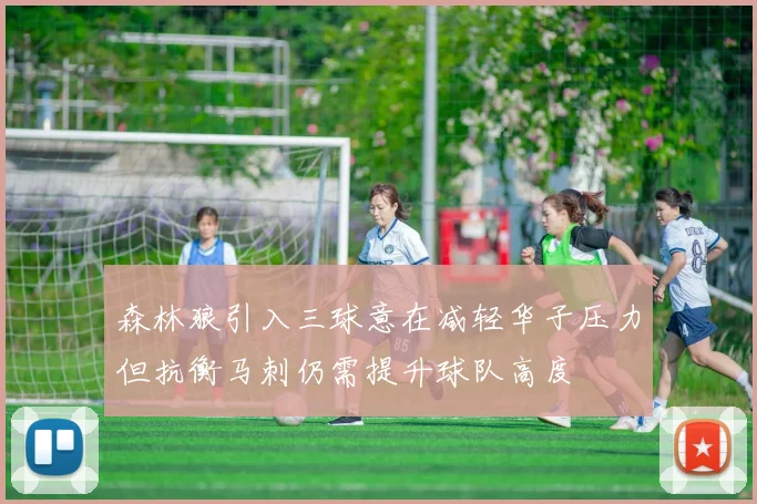 森林狼引入三球意在减轻华子压力但抗衡马刺仍需提升球队高度